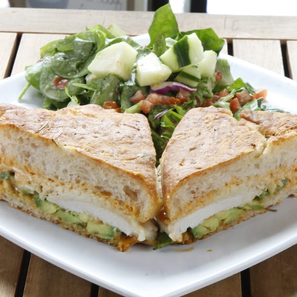 A chicken and avocado sandwich cut in half, served with a side salad on a white plate.